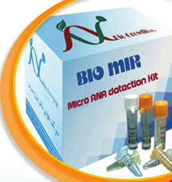 Micro RNA kit Humanm-mouse-rate 200 reactions
