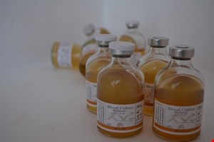 دیفازیک بزرگسال