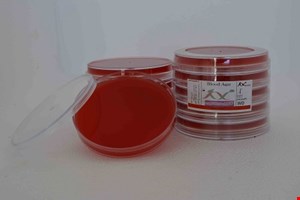 بلاد آگار 10cm