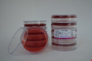 محیط کشت پلیت 8cm SS