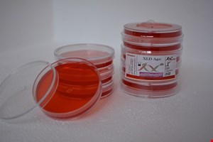 پلیت XLD آگار 6cm