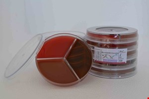 پلیت 8cm Blood/EMB/Chocolate