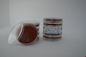 پلیت شکلات آگار6cm