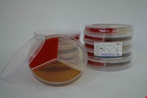 پلیت %8cm Bile/Blood/NaCL 6.5
