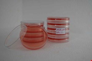 پلیت مانیتول سالت آگار 8cm