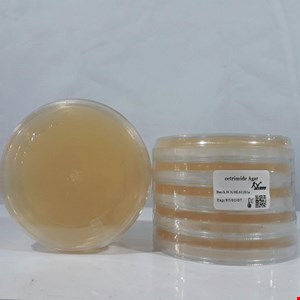 محیط کشت سیتریمید آگار 8cm