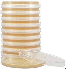 Baird parker agar 8cm