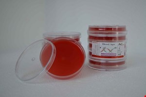  پلیت بلاد آگار 6cm