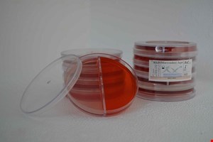  پلیت 8cm MacConkey /XLD 