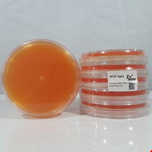 محیط کشت پلیت 6cm MYP 