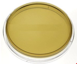  پلیت بایل اسکولین اگار 6cm 