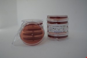 پلیت مکانکی آگار 6cm 