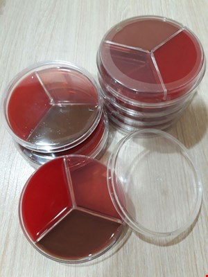 پلیت 10cm Blood/Mac Conkey/Chocolate