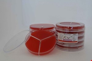  پلیت بلاد آگار8cm سه خانه