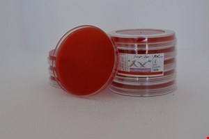 پلیت مولر هینتون آگار خوندار 10cm