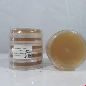 محیط کشت کروم آگار ویژه کاندیدا 6cm (قارچ ها)
