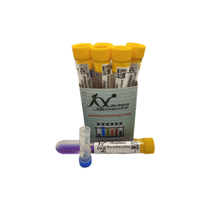 Ornithine decarboxylase