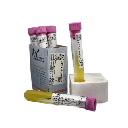 Urea Agar