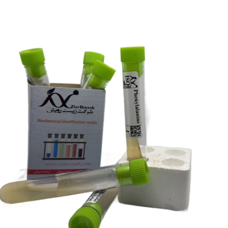 Phenylalanine agar