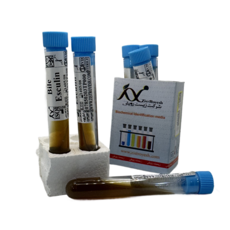 Bile esculin agar Tube