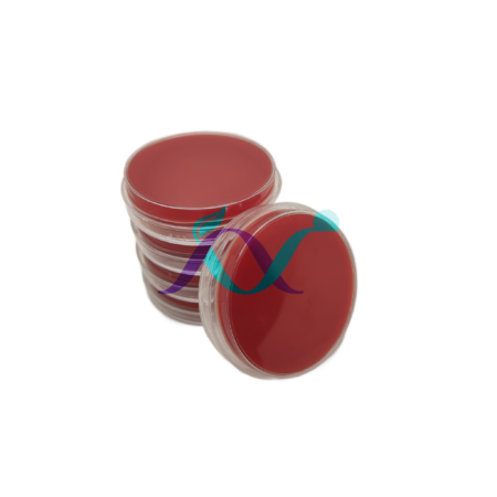 محیط کشت پلیت 8 سانت 1 خانه BA