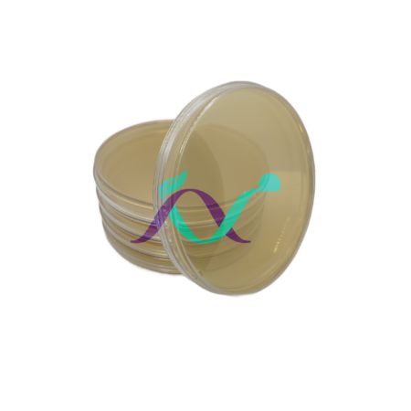 محیط کشت پلیت 10 سانت 1 خانه MHA