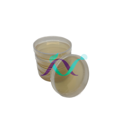 محیط کشت پلیت 10 سانت 1 خانه NA